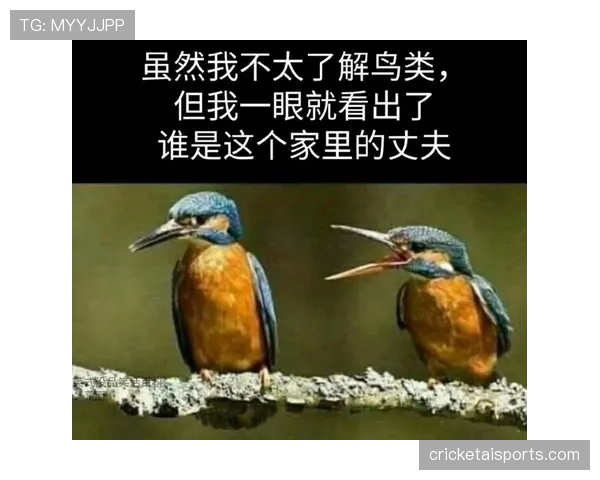 你真的了解视频回放判罚规则吗？看完这篇解析就全懂了
