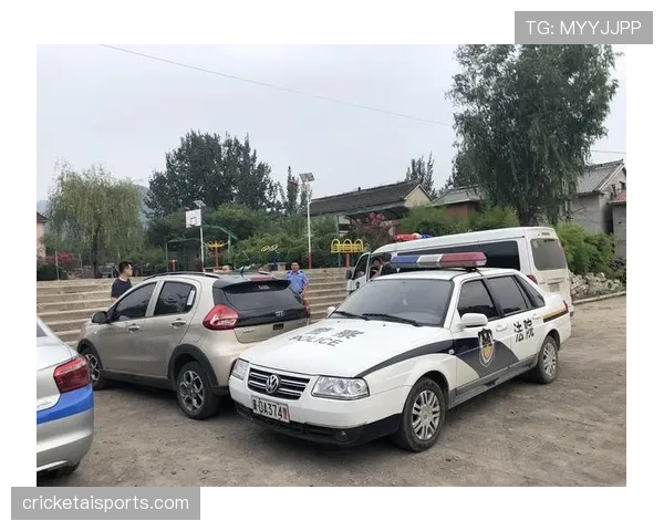 少见却关键：群体冲突判罚规则如何精准执行？